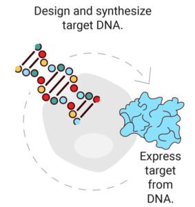 Depiction of target selection