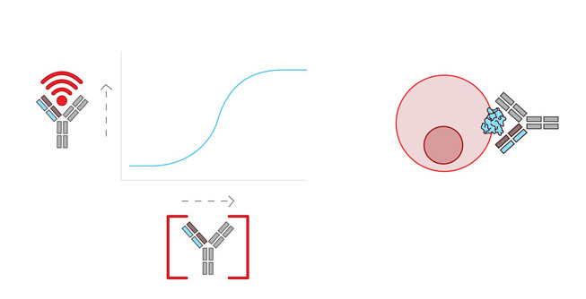 Depiction of cell display