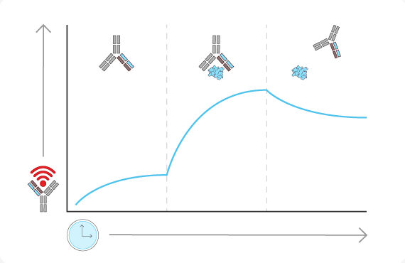 Depiction of binding kinetics