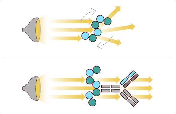 Depiction of ELISA Titer Assay