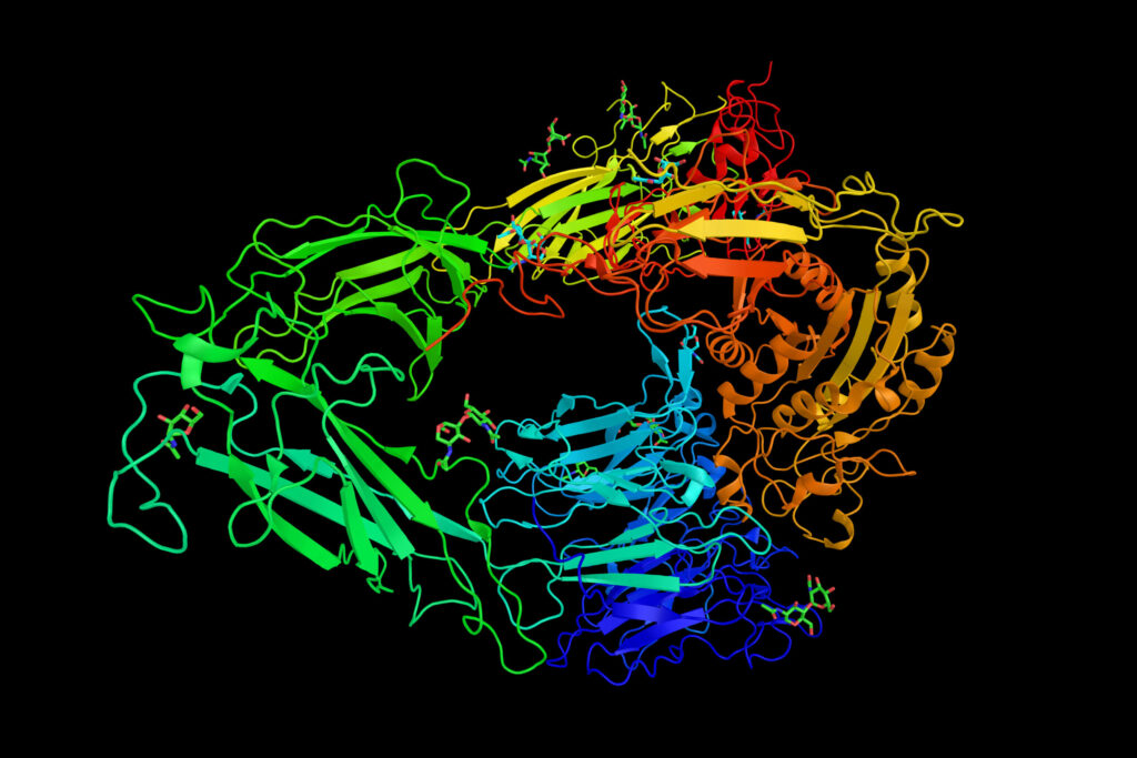 Three dimensional structure of an integrin