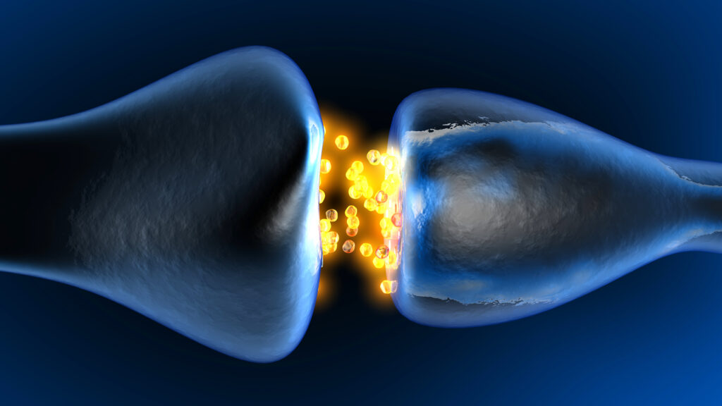 A digital rendering of neurotransmission in the synapse, shown with glowing neurons flowing at a synaptic connection.