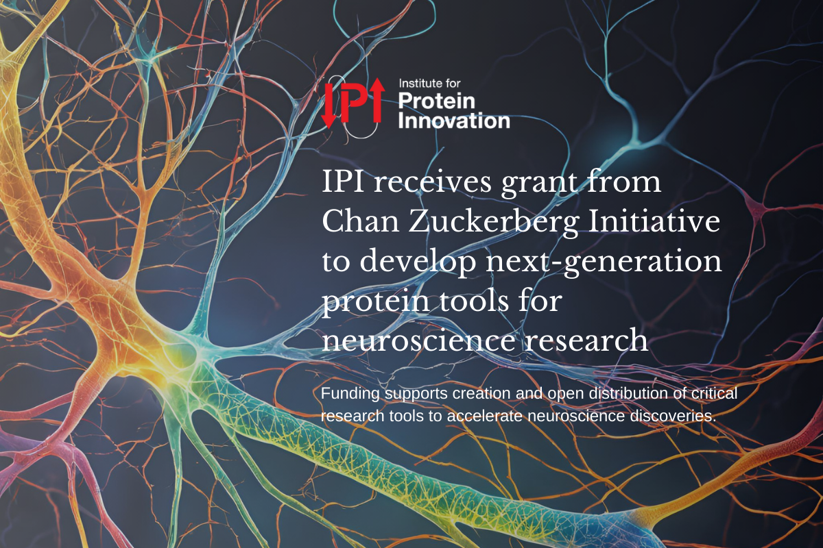 Graphic with text that says, "IPI receives grant from Chan Zuckerberg Initiative to develop next-generation protein tools for neuroscience research: Funding supports creation and open distribution of critical research tools to accelerate neuroscience discoveries."