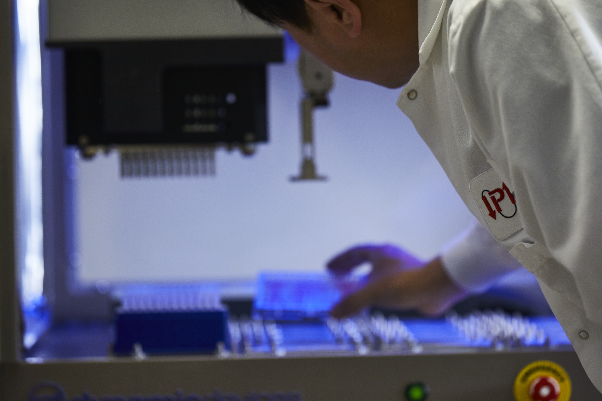 Codon optimization ‘bake-off’ suggests native constructs are best tool for mammalian protein expression