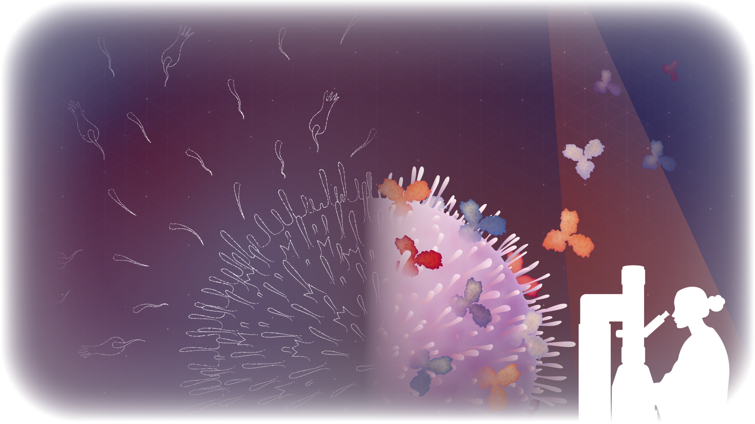 An artistic rendition of a B cell producing antibodies, as imagined in early research versus today. A silhouetted figure with a microscope overlooks the cell.